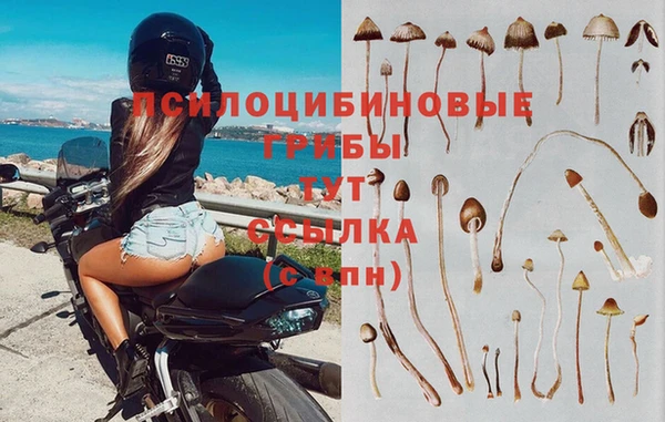 MDMA Premium VHQ Пролетарск