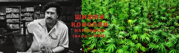 сатива Абаза