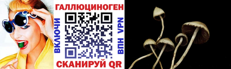 Псилоцибиновые грибы MAGIC MUSHROOMS Питкяранта