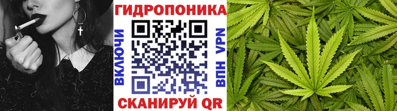 Шишки марихуана план Питкяранта